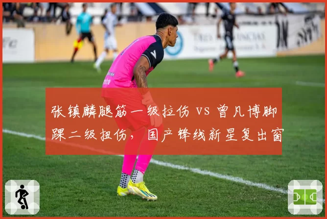 张镇麟腿筋一级拉伤 vs 曾凡博脚踝二级扭伤,国产锋线新星复出窗口期对比
