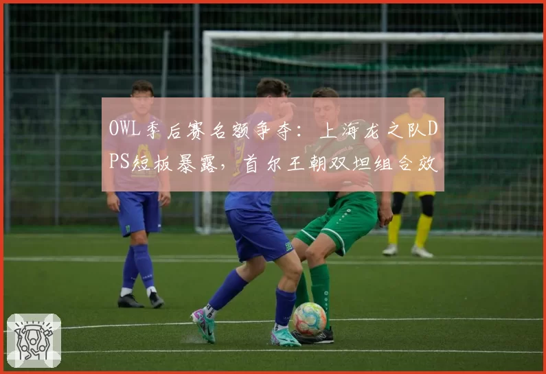 OWL季后赛名额争夺：上海龙之队DPS短板暴露，首尔王朝双坦组合效率反超