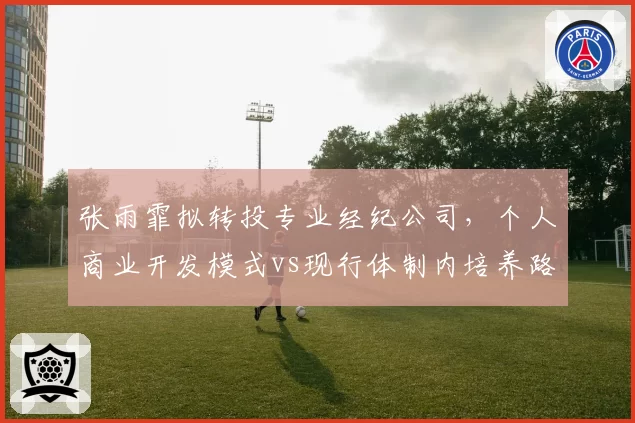 张雨霏拟转投专业经纪公司，个人商业开发模式vs现行体制内培养路径之战