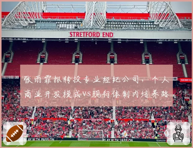 张雨霏拟转投专业经纪公司,个人商业开发模式vs现行体制内培养路径之战